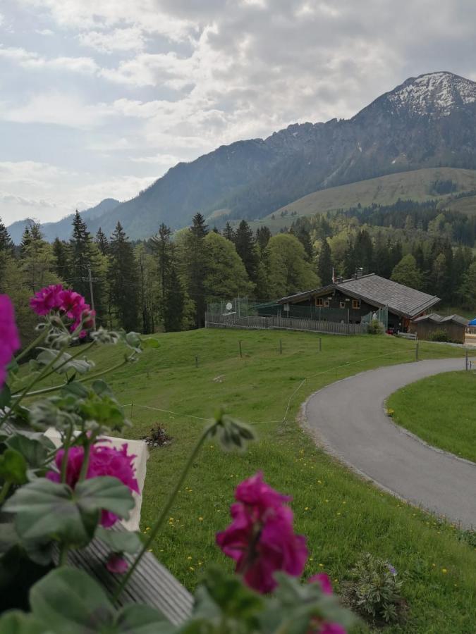 Haus Obweg - Postalm Aparthotel Халайн Екстериор снимка
