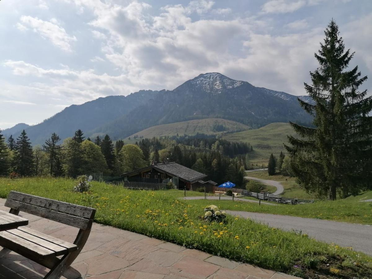 Haus Obweg - Postalm Aparthotel Халайн Екстериор снимка