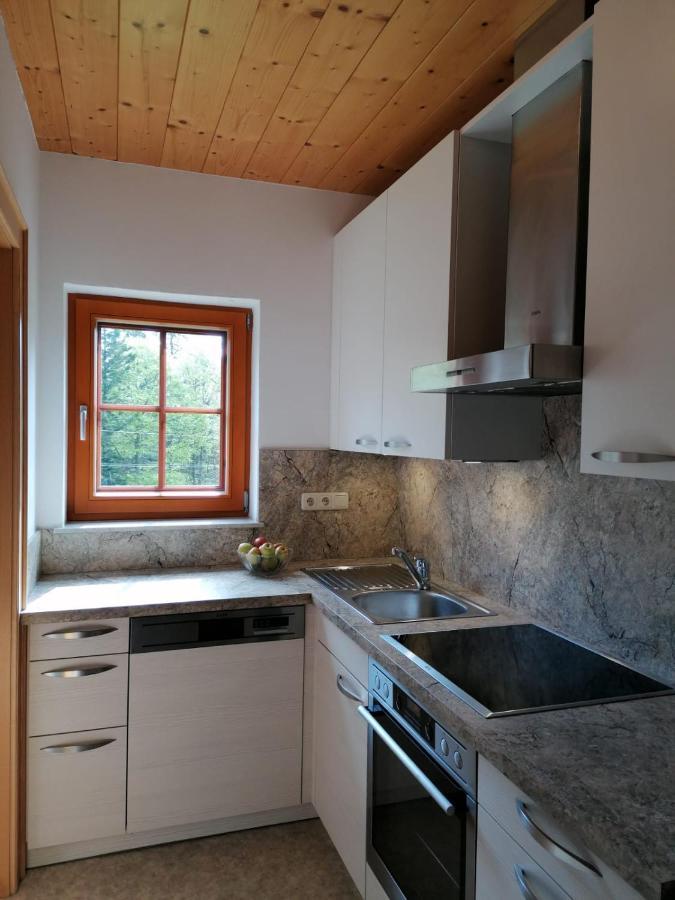Haus Obweg - Postalm Aparthotel Халайн Екстериор снимка